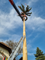 03Maibaum30042022_1